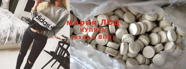хмурый Алзамай