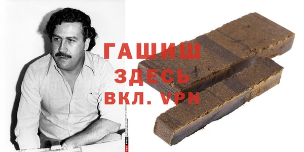 хмурый Алзамай