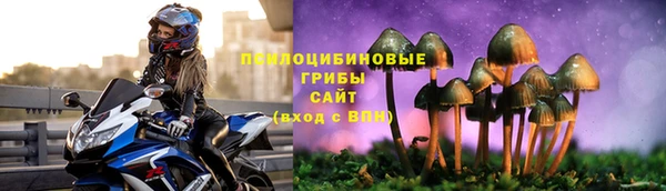 хмурый Алзамай