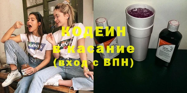 хмурый Алзамай