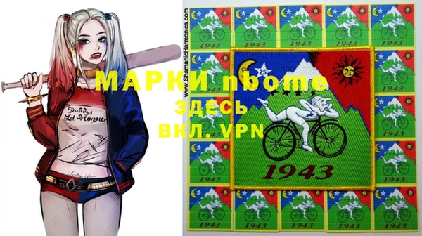 хмурый Алзамай