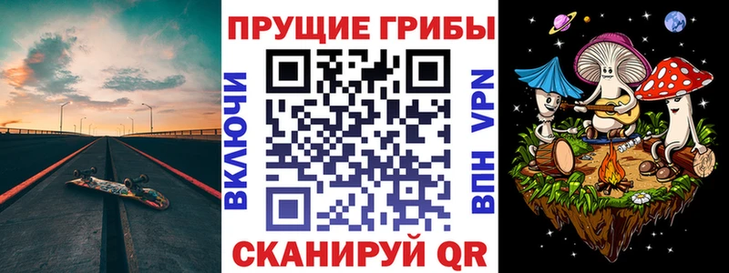 Галлюциногенные грибы Psilocybine cubensis  Салехард 